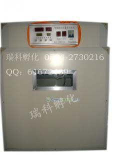 供應瀘定縣雞苗孵化器與得榮縣中雁孵化設備助力養殖業發展